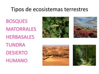 Tipos de ecosistemas terrestres
BOSQUES
MATORRALES
HERBASALES
TUNDRA
DESIERTO
HUMANO
 