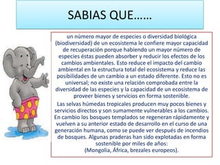 SABIAS QUE……
un número mayor de especies o diversidad biológica
(biodiversidad) de un ecosistema le confiere mayor capacidad
de recuperación porque habiendo un mayor número de
especies éstas pueden absorber y reducir los efectos de los
cambios ambientales. Esto reduce el impacto del cambio
ambiental en la estructura total del ecosistema y reduce las
posibilidades de un cambio a un estado diferente. Esto no es
universal; no existe una relación comprobada entre la
diversidad de las especies y la capacidad de un ecosistema de
proveer bienes y servicios en forma sostenible.
Las selvas húmedas tropicales producen muy pocos bienes y
servicios directos y son sumamente vulnerables a los cambios.
En cambio los bosques templados se regeneran rápidamente y
vuelven a su anterior estado de desarrollo en el curso de una
generación humana, como se puede ver después de incendios
de bosques. Algunas praderas han sido explotadas en forma
sostenible por miles de años:
(Mongolia, África, brezales europeos).
 