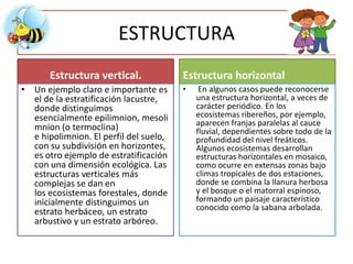 ESTRUCTURA
Estructura vertical.
• Un ejemplo claro e importante es
el de la estratificación lacustre,
donde distinguimos
esencialmente epilimnion, mesoli
mnion (o termoclina)
e hipolimnion. El perfil del suelo,
con su subdivisión en horizontes,
es otro ejemplo de estratificación
con una dimensión ecológica. Las
estructuras verticales más
complejas se dan en
los ecosistemas forestales, donde
inicialmente distinguimos un
estrato herbáceo, un estrato
arbustivo y un estrato arbóreo.
Estructura horizontal
• En algunos casos puede reconocerse
una estructura horizontal, a veces de
carácter periódico. En los
ecosistemas ribereños, por ejemplo,
aparecen franjas paralelas al cauce
fluvial, dependientes sobre todo de la
profundidad del nivel freáticos.
Algunos ecosistemas desarrollan
estructuras horizontales en mosaico,
como ocurre en extensas zonas bajo
climas tropicales de dos estaciones,
donde se combina la llanura herbosa
y el bosque o el matorral espinoso,
formando un paisaje característico
conocido como la sabana arbolada.
 