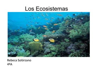 Los Ecosistemas
Rebeca Solórzano
4ºA
 