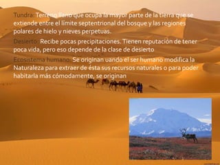 Tundra:Terreno llano que ocupa la mayor parte de la tierra que se
extiende entre el límite septentrional del bosque y las regiones
polares de hielo y nieves perpetuas.
Desierto: Recibe pocas precipitaciones.Tienen reputación de tener
poca vida, pero eso depende de la clase de desierto
Ecosistema humano: Se originan uando el ser humano modifica la
Naturaleza para extraer de ésta sus recursos naturales o para poder
habitarla más cómodamente, se originan
 