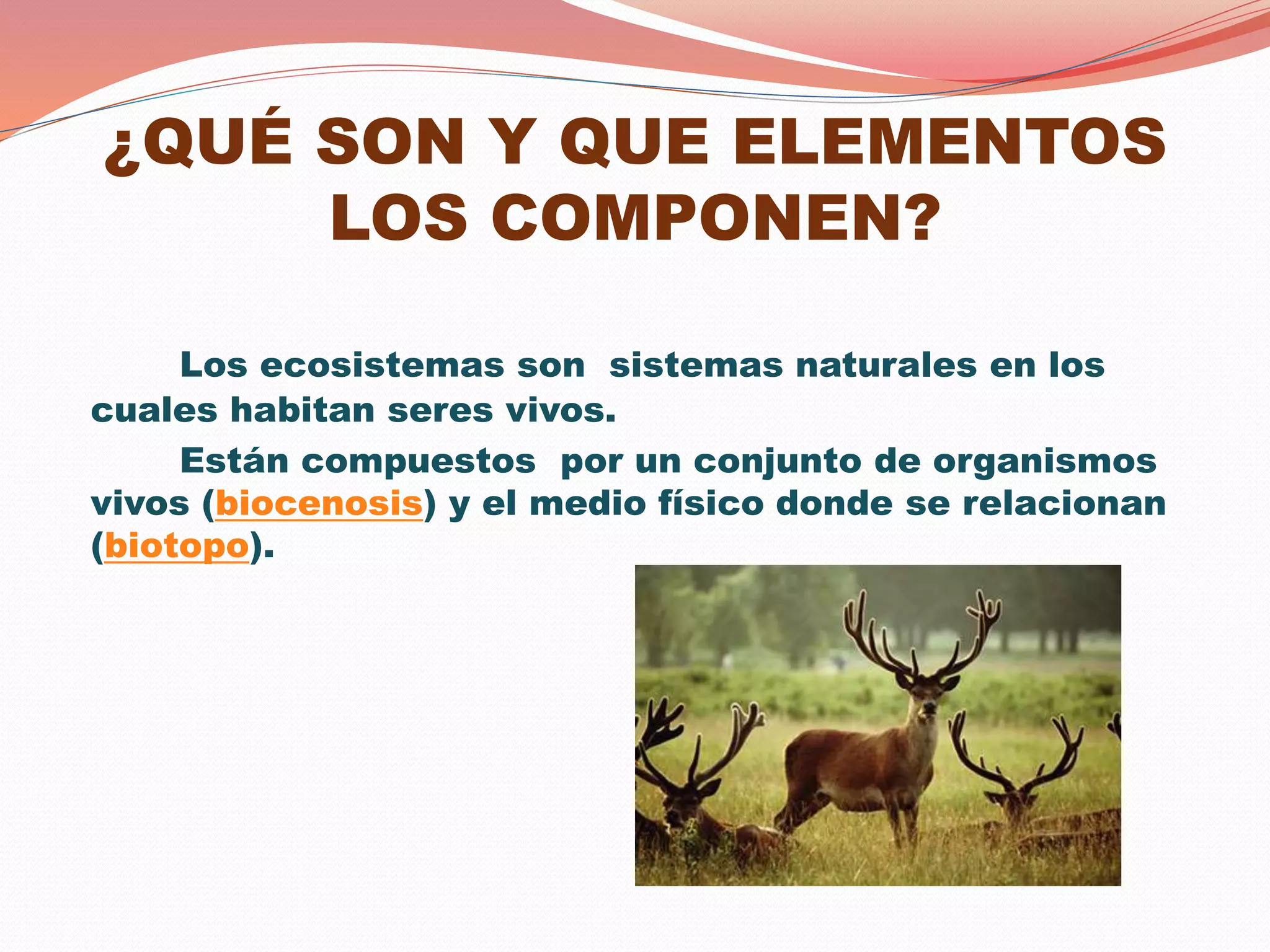 Ecosistemas | PPTX
