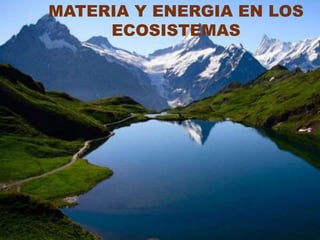 MATERIA Y ENERGIA EN LOS
ECOSISTEMAS
 