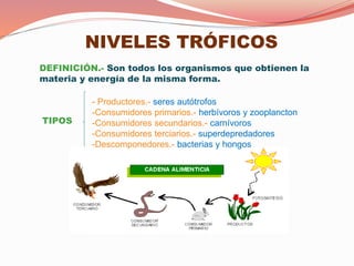 NIVELES TRÓFICOS
TIPOS
- Productores.- seres autótrofos
-Consumidores primarios.- herbívoros y zooplancton
-Consumidores secundarios.- carnívoros
-Consumidores terciarios.- superdepredadores
-Descomponedores.- bacterias y hongos
DEFINICIÓN.- Son todos los organismos que obtienen la
materia y energía de la misma forma.
 