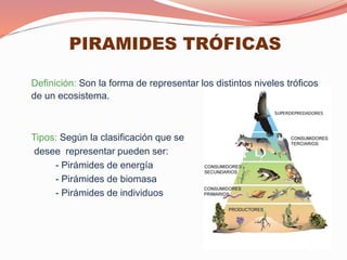 PIRAMIDES TRÓFICAS
Definición: Son la forma de representar los distintos niveles tróficos
de un ecosistema.
Tipos: Según la clasificación que se
desee representar pueden ser:
- Pirámides de energía
- Pirámides de biomasa
- Pirámides de individuos
 