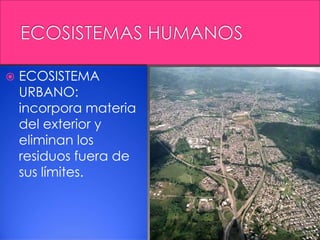  ECOSISTEMA
URBANO:
incorpora materia
del exterior y
eliminan los
residuos fuera de
sus límites.
 