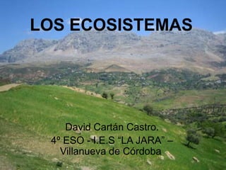 LOS ECOSISTEMAS
David Cartán Castro.
4º ESO - I.E.S “LA JARA” –
Villanueva de Córdoba.
 