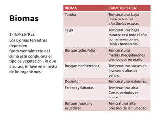Biomas
1-TERRESTRES
Los biomas terrestres
dependen
fundamentalmente del
clima:este condiciona el
tipo de vegetación , lo que
a su vez, influye en el resto
de los organismos
BIOMA CARACTERÍSTICAS
Tundra Temperaturas bajas
durante todo el
año.Lluvias escasas
Taiga Temperaturas bajas
durante casi todo el año
con veranos cortos.
Lluvias moderadas.
Bosque caducifolio Temperaturas
medias.Precipitaciones
distribuidas en el año.
Bosque mediterraneo Temperaturas suaves en
invierno y altas en
verano.
Desierto Temperaturas extremas.
Estepas y Sabanas Temperaturas altas.
Cortos periodos de
lluvias
Bosque tropical y
ecuatorial
Tempraturas altas
presenci de la humedad
 