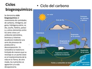 Ciclos
biogeoquimicos
• Ciclo del carbono
.
Se denomina ciclo
biogeoquímico al
movimiento de cantidades
de carbono, nitrógeno, oxí
geno, hidrógeno,calcio, so
dio, azufre, fósforo, potasi
o, y otros elementos entre
los seres vivos y el
ambiente (atmósfera,
biomasa y sistemas
acuáticos) mediante una
serie de procesos de
producción y
descomposición. En
la biosfera la materia es
limitada de manera que su
reciclaje es un punto clave
en el mantenimiento de la
vida en la Tierra; de otro
modo, los nutrientes se
agotarían y la vida
desaparecería.
 