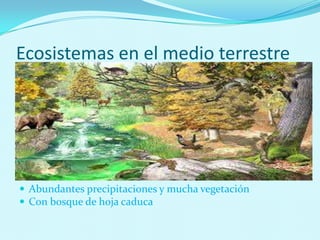Ecosistemas en el medio terrestre
 Zona norte-noroeste
 Abundantes precipitaciones y mucha vegetación
 Con bosque de hoja caduca
 