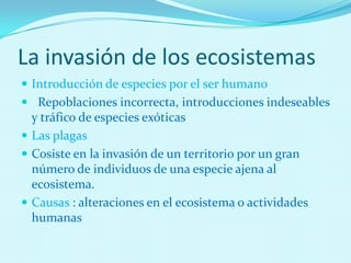 La invasión de los ecosistemas
 Introducción de especies por el ser humano
 Repoblaciones incorrecta, introducciones indeseables
y tráfico de especies exóticas
 Las plagas
 Cosiste en la invasión de un territorio por un gran
número de individuos de una especie ajena al
ecosistema.
 Causas : alteraciones en el ecosistema o actividades
humanas
 
