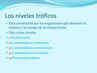 Los niveles tróficos
 Esta constituido por los organismos que obtienen la
materia y la energía de la misma forma
 Hay varios niveles:
 1-Productores
 2-Consumidores primarios
 3-Consumidores secundarios
 4-Consumidores terciarios
 5-Descomponedores
 