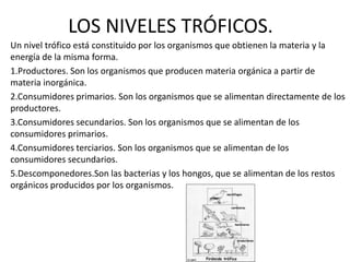 LOS NIVELES TRÓFICOS.
Un nivel trófico está constituido por los organismos que obtienen la materia y la
energía de la misma forma.
1.Productores. Son los organismos que producen materia orgánica a partir de
materia inorgánica.
2.Consumidores primarios. Son los organismos que se alimentan directamente de los
productores.
3.Consumidores secundarios. Son los organismos que se alimentan de los
consumidores primarios.
4.Consumidores terciarios. Son los organismos que se alimentan de los
consumidores secundarios.
5.Descomponedores.Son las bacterias y los hongos, que se alimentan de los restos
orgánicos producidos por los organismos.
 