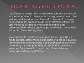  Los diferentes niveles tróficos están relacionados entre sí por
su interdependencia alimentaria. Los organismos de un nivel
trófico pueden vivir porque toman la materia y la energía
necesaria de los organismos de un nivel trófico inferior. De
este modo, se establece una cadena trófica o de
alimentación en la que cada grupo se alimenta del anterior
y sirve de alimento al siguiente.
 Sin embargo, las cadenas tróficas no tienen lugar de un
modo aislado, están interrelacionadas: una especie puede
alimentarse de otras especies que pertenecen a diferentes
cadenas, y a su vez, puede servir de alimento a distintas
especies. Por este motivo, en la naturaleza, más que
cadenas, existen redes tróficas.
 