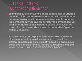  La materia que se encuentra en los ecosistemas es utilizada
de forma cíclica, una y otra vez: esta materia está formada
por moléculas que se transforman químicamente , aunque
los elementos químico que las constituyen permanecen. Los
elementos químicos más importantes que constituyen las
moléculas de los seres vivos son el carbono, el nitrógeno, el
fosforo y el azufre.
Estos elementos pasan por los seres vivos, la atmósfera, la
hidrosfera, el suelo y los minerales y rocas, constituyen
diferentes moléculas. Por este motivo, llevan a cabo ciclos
en los que participa tanto la materia viva como la materia
inerte. Se trata de los CICLOS BIOGEOQUÍMICOS.
 
