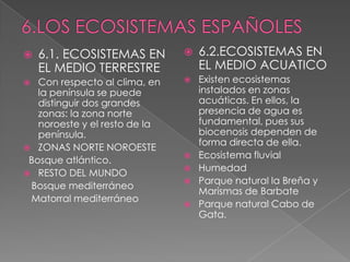  6.1. ECOSISTEMAS EN
EL MEDIO TERRESTRE
 Con respecto al clima, en
la península se puede
distinguir dos grandes
zonas: la zona norte
noroeste y el resto de la
península.
 ZONAS NORTE NOROESTE
Bosque atlántico.
 RESTO DEL MUNDO
Bosque mediterráneo
Matorral mediterráneo
 6.2.ECOSISTEMAS EN
EL MEDIO ACUATICO
 Existen ecosistemas
instalados en zonas
acuáticas. En ellos, la
presencia de agua es
fundamental, pues sus
biocenosis dependen de
forma directa de ella.
 Ecosistema fluvial
 Humedad
 Parque natural la Breña y
Marismas de Barbate
 Parque natural Cabo de
Gata.
 