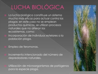 La lucha biológica constituye un sistema
mucho mas eficaz para actuar contra las
plagas: en este caso no se emplean
productos químicos, se utilizan procesos
naturales que no alteran los
ecosistemas, como:
 Incorporación de individuos estelares a la
población plaga.
 Empleo de feromonas.
 Incremento intencionado del número de
depredadores naturales.
 Utilización de microorganismos de patógenos
para la especie plaga.
 