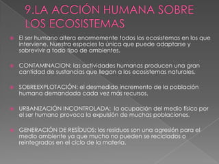  El ser humano altera enormemente todos los ecosistemas en los que
interviene. Nuestra especies la única que puede adaptarse y
sobrevivir a todo tipo de ambientes.
 CONTAMINACION: las actividades humanas producen una gran
cantidad de sustancias que llegan a los ecosistemas naturales.
 SOBREEXPLOTACIÓN: el desmedido incremento de la población
humana demandada cada vez más recursos.
 URBANIZACIÓN INCONTROLADA: la ocupación del medio físico por
el ser humano provoca la expulsión de muchas poblaciones.
 GENERACIÓN DE RESÍDUOS: los residuos son una agresión para el
medio ambiente ya que mucho no pueden se reciclados o
reintegrados en el ciclo de la materia.
 