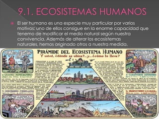  El ser humano es una especie muy particular por varios
motivos: uno de ellos consigue en la enorme capacidad que
tenemo de modificar el medio natural según nuestra
convivencia. Además de alterar los ecosistemas
naturales, hemos originado otros a nuestra medida.
 