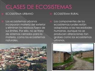  ECOSISTEMA URBANO
 Los ecosistemas urbanos
incorporan materia del exterior
y eliminan los residuos fuera de
sus límites. Por ello, no se trata
de sistemas cerrados para la
materia, como los ecosistemas
naturales.
 ECOSISTEMA RURAL
 Los componentes de los
ecosistemas rurales están
adaptados a las necesidades
humanas, aunque no se
producen alteraciones tan
grabes como los ecosistemas
urbanos.
 