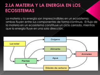 La materia y la energía son imprescindibles en un ecosistema;
ambas fluyen entre sus componentes de forma continua. El flujo de
la materia en un ecosistema constituye un ciclo cerrado, mientras
que la energía fluye en una sola dirección.
 
