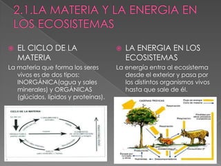  EL CICLO DE LA
MATERIA
La materia que forma los seres
vivos es de dos tipos:
INORGÁNICA(agua y sales
minerales) y ORGÁNICAS
(glúcidos, lípidos y proteínas).
 LA ENERGIA EN LOS
ECOSISTEMAS
La energía entra al ecosistema
desde el exterior y pasa por
los distintos organismos vivos
hasta que sale de él.
 