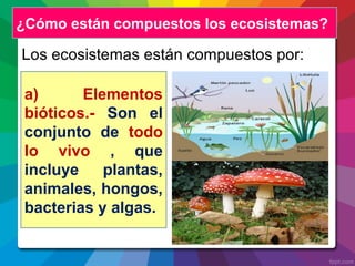 Los ecosistemas están compuestos por:
¿Cómo están compuestos los ecosistemas?
a) Elementos
bióticos.- Son el
conjunto de todo
lo vivo , que
incluye plantas,
animales, hongos,
bacterias y algas.
 