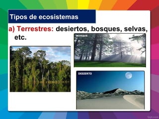 a) Terrestres: desiertos, bosques, selvas,
etc.
Tipos de ecosistemas
 