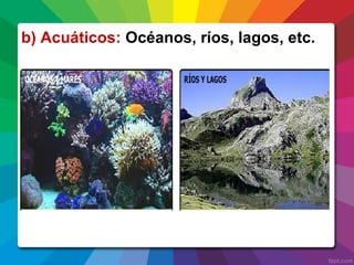 b) Acuáticos: Océanos, ríos, lagos, etc.
 