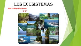 Los ecosistemas
Juan Esteban Mata Murillo
3 “C”

 