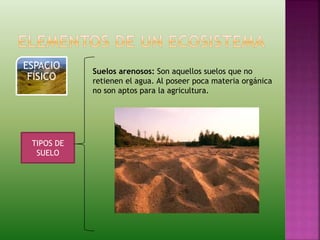 ESPACIO
FÍSICO
TIPOS DE
SUELO
Suelos arenosos: Son aquellos suelos que no
retienen el agua. Al poseer poca materia orgánica
no son aptos para la agricultura.
 