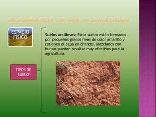 ESPACIO
FÍSICO
TIPOS DE
SUELO
Suelos arcillosos: Estos suelos están formados
por pequeños granos finos de color amarillo y
retienen el agua en charcos. Mezclados con
humus pueden resultar muy efectivos para la
agricultura.
 