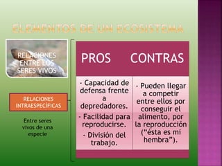 RELACIONES
ENTRE LOS
SERES VIVOS
RELACIONES
INTRAESPECÍFICAS
Entre seres
vivos de una
especie
PROS CONTRAS
- Capacidad de
defensa frente
a
depredadores.
- Facilidad para
reproducirse.
- División del
trabajo.
- Pueden llegar
a competir
entre ellos por
conseguir el
alimento, por
la reproducción
(“ésta es mi
hembra”).
 