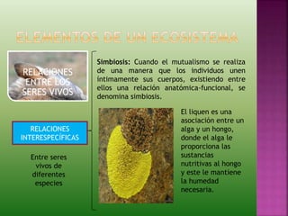 RELACIONES
ENTRE LOS
SERES VIVOS
RELACIONES
INTERESPECÍFICAS
Entre seres
vivos de
diferentes
especies
Simbiosis: Cuando el mutualismo se realiza
de una manera que los individuos unen
íntimamente sus cuerpos, existiendo entre
ellos una relación anatómica-funcional, se
denomina simbiosis.
El liquen es una
asociación entre un
alga y un hongo,
donde el alga le
proporciona las
sustancias
nutritivas al hongo
y este le mantiene
la humedad
necesaria.
 