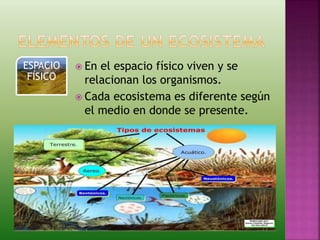  En el espacio físico viven y se
relacionan los organismos.
 Cada ecosistema es diferente según
el medio en donde se presente.
ESPACIO
FÍSICO
 
