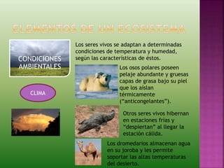 CONDICIONES
AMBIENTALES
CLIMA
Los seres vivos se adaptan a determinadas
condiciones de temperatura y humedad,
según las características de éstos.
Los osos polares poseen
pelaje abundante y gruesas
capas de grasa bajo su piel
que los aíslan
térmicamente
(“anticongelantes”).
Otros seres vivos hibernan
en estaciones frías y
“despiertan” al llegar la
estación cálida.
Los dromedarios almacenan agua
en su joroba y les permite
soportar las altas temperaturas
del desierto.
 