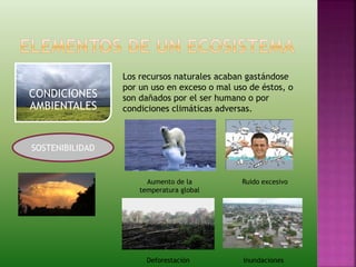CONDICIONES
AMBIENTALES
SOSTENIBILIDAD
Los recursos naturales acaban gastándose
por un uso en exceso o mal uso de éstos, o
son dañados por el ser humano o por
condiciones climáticas adversas.
Aumento de la
temperatura global
Ruido excesivo
Deforestación Inundaciones
 