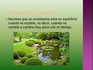  Decimos que un ecosistema está en equilibrio
cuando es estable, es decir, cuando no
cambia o cambia muy poco con el tiempo.
 