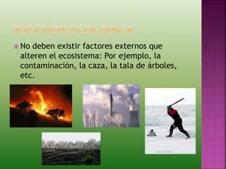 No deben existir factores externos que
alteren el ecosistema: Por ejemplo, la
contaminación, la caza, la tala de árboles,
etc.
 