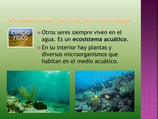  Otros seres siempre viven en el
agua. Es un ecosistema acuático.
 En su interior hay plantas y
diversos microorganismos que
habitan en el medio acuático.
ESPACIO
FÍSICO
 