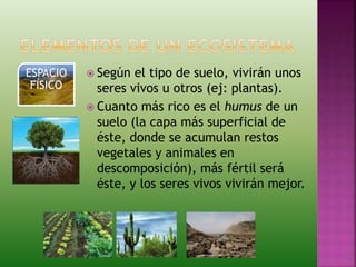  Según el tipo de suelo, vivirán unos
seres vivos u otros (ej: plantas).
 Cuanto más rico es el humus de un
suelo (la capa más superficial de
éste, donde se acumulan restos
vegetales y animales en
descomposición), más fértil será
éste, y los seres vivos vivirán mejor.
ESPACIO
FÍSICO
 