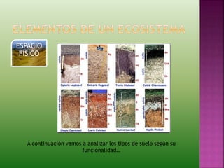 ESPACIO
FÍSICO
A continuación vamos a analizar los tipos de suelo según su
funcionalidad…
 