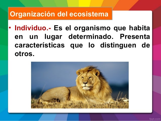 Los ecosistemas