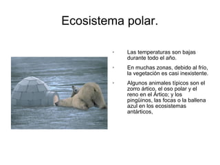 Ecosistema polar. 
 Las temperaturas son bajas 
durante todo el año. 
 En muchas zonas, debido al frío, 
la vegetación es casi inexistente. 
 Algunos animales típicos son el 
zorro ártico, el oso polar y el 
reno en el Ártico; y los 
pingüinos, las focas o la ballena 
azul en los ecosistemas 
antárticos, 
 