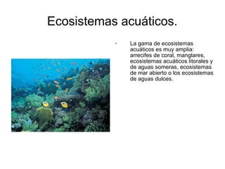 Ecosistemas acuáticos. 
 La gama de ecosistemas 
acuáticos es muy amplia: 
arrecifes de coral, manglares, 
ecosistemas acuáticos litorales y 
de aguas someras, ecosistemas 
de mar abierto o los ecosistemas 
de aguas dulces. 
 