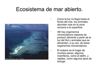 Ecosistema de mar abierto. 
 Como la luz no llega hasta el 
fondo del mar, los animales 
abundan mas en la zona 
cercana a la superficie. 
 Allí hay organismos 
microscópicos capaces de 
producir alimento a partir de la 
luz del Sol y animales que se 
alimentan, a su vez, de estos 
organismos microscópicos. 
 El océano es el hogar de 
muchos peces, algunos 
mamíferos, como el delfín, y 
reptiles, como algunos tipos de 
tortuga. 
 