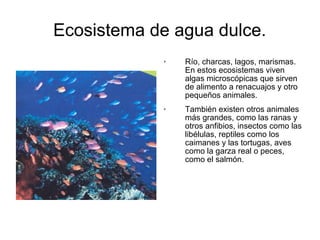 Ecosistema de agua dulce. 
 Río, charcas, lagos, marismas. 
En estos ecosistemas viven 
algas microscópicas que sirven 
de alimento a renacuajos y otro 
pequeños animales. 
 También existen otros animales 
más grandes, como las ranas y 
otros anfibios, insectos como las 
libélulas, reptiles como los 
caimanes y las tortugas, aves 
como la garza real o peces, 
como el salmón. 

