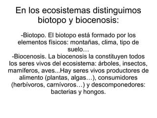 En los ecosistemas distinguimos 
biotopo y biocenosis: 
-Biotopo. El biotopo está formado por los 
elementos físicos: montañas, clima, tipo de 
suelo… 
-Biocenosis. La biocenosis la constituyen todos 
los seres vivos del ecosistema: árboles, insectos, 
mamíferos, aves...Hay seres vivos productores de 
alimento (plantas, algas…), consumidores 
(herbívoros, carnívoros…) y descomponedores: 
bacterias y hongos. 
 