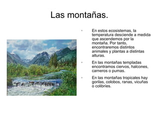 Las montañas. 
 En estos ecosistemas, la 
temperatura desciende a medida 
que ascendemos por la 
montaña. Por tanto, 
encontraremos distintos 
animales y plantas a distintas 
alturas. 
 En las montañas templadas 
encontramos ciervos, halcones, 
carneros o pumas. 
 En las montañas tropicales hay 
gorilas, colobos, ranas, vicuñas 
o colibríes. 
 