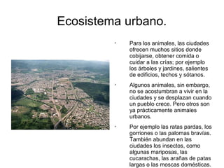 Ecosistema urbano. 
 Para los animales, las ciudades 
ofrecen muchos sitios donde 
cobijarse, obtener comida o 
cuidar a las crías; por ejemplo 
los árboles y jardines, salientes 
de edificios, techos y sótanos. 
 Algunos animales, sin embargo, 
no se acostumbran a vivir en la 
ciudades y se desplazan cuando 
un pueblo crece. Pero otros son 
ya prácticamente animales 
urbanos. 
 Por ejemplo las ratas pardas, los 
gorriones o las palomas bravías. 
También abundan en las 
ciudades los insectos, como 
algunas mariposas, las 
cucarachas, las arañas de patas 
largas o las moscas domésticas. 
 